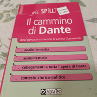 Libro Il cammino di Dante