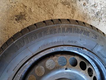 Ruote invernali Firestone Winterhawk 185/65 r15