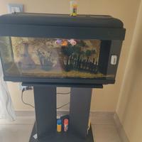 acquario 
