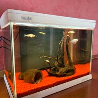Acquario NEWA 20litri
