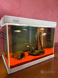 Acquario NEWA 20litri