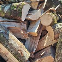 legna da ardere per stufa e camino consegna a domi