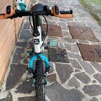 Bicicletta bambino