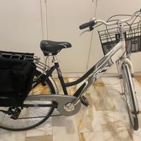 Bicicletta cittbyke donna Delsante