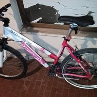 Bici alluminio MTB 26" con ammortizzatore