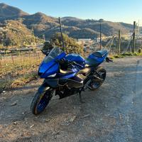 YZF-R3+Akrapovic+Alettoni anteriori-zero lavori