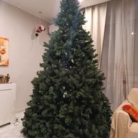 Albero di Natale 