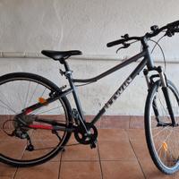 Bicicletta da donna