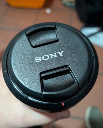 Sony 24-105 f4 G OSS
