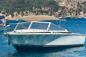 Bertram 26 (1976) - Motori Mercury 2011 - 16.900