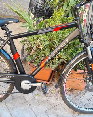 ATALA E RUN MISURA 28