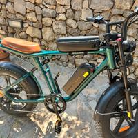 Bici elettrica