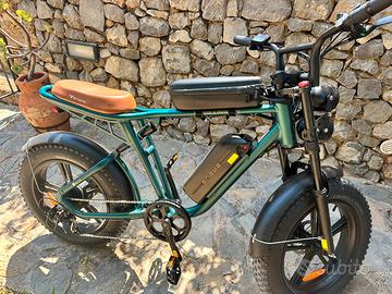 Bici elettrica