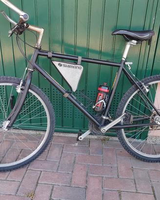 mountain bike Aerelli