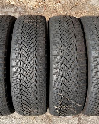 Gomme invernali Nexen 225 60 18