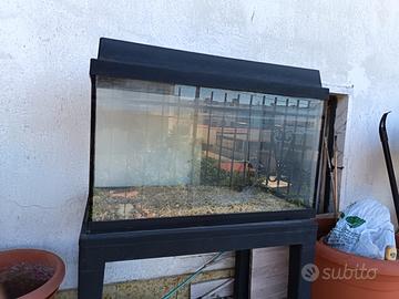 ACQUARIO 80LT + ACCESSORI