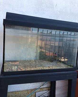 ACQUARIO 80LT + ACCESSORI