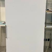 Armadio congelatore 350 Lt. Professionale