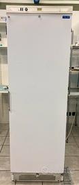 Armadio congelatore 350 Lt. Professionale