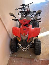 Altro Altro modello - 2010