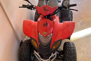 Altro Altro modello - 2010