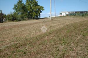 TER. RESIDENZIALE A BAISO