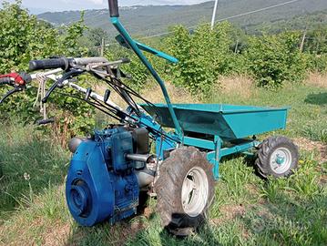 Lotto falciatrice con carrello e accessori
