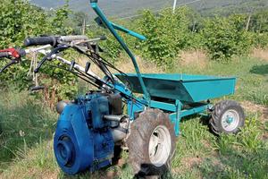 Lotto falciatrice con carrello e accessori