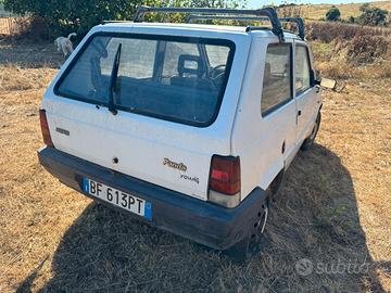 Fiat Panda young