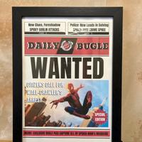 Quadro Spiderman