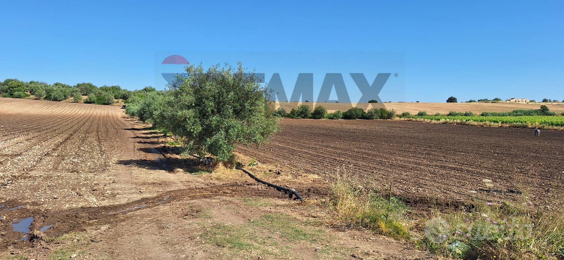 Terreno - Noto - Vista 3