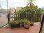 Immagine 26