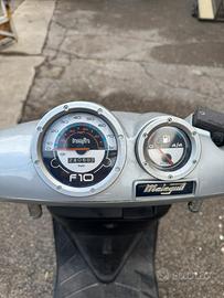 Scoter f10