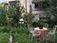 Immagine 6