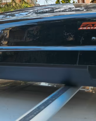 Box Fabbri nova 310  tetto auto con barre  da tett