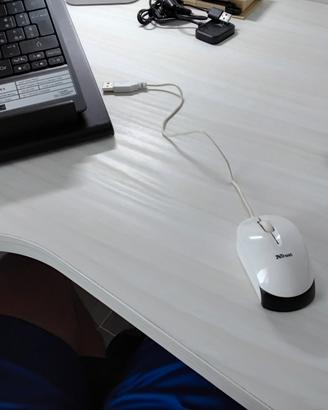 Mouse (mini) con cavo USB