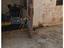Immagine 16