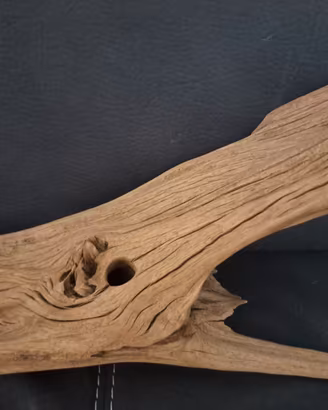 Accessorio acquario/terrario