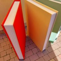 Libro libroni da collezione 