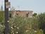 Immagine 7