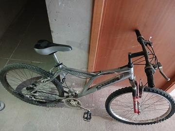 bicicletta 