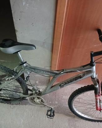 bicicletta 
