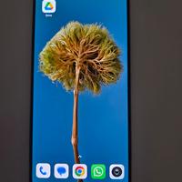 xiaomi 12 lite