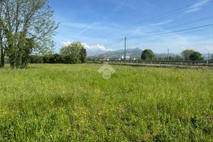 TER. AGRICOLO A PESCANTINA