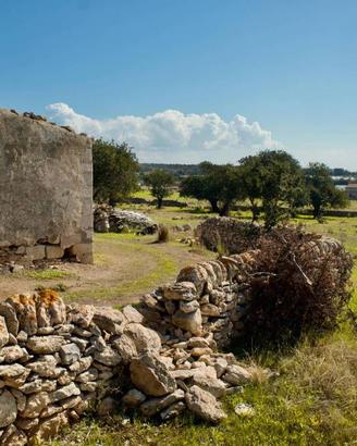 Terreno di 17735 m² a Santa Croce Camerina