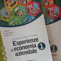 Libro Esperienze Economia Aziendale 1 Grazioli St