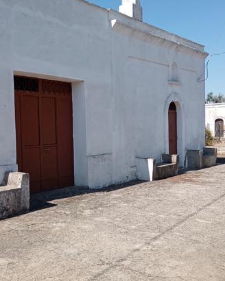 Casale con volta a stella e uliveto secolare