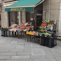 Attività storica-Ortofrutta Camaiore centro