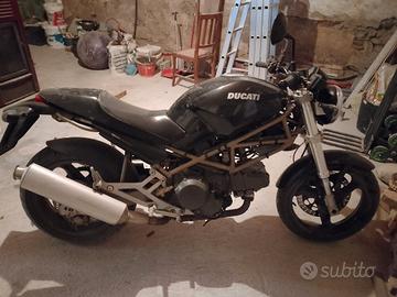ducati