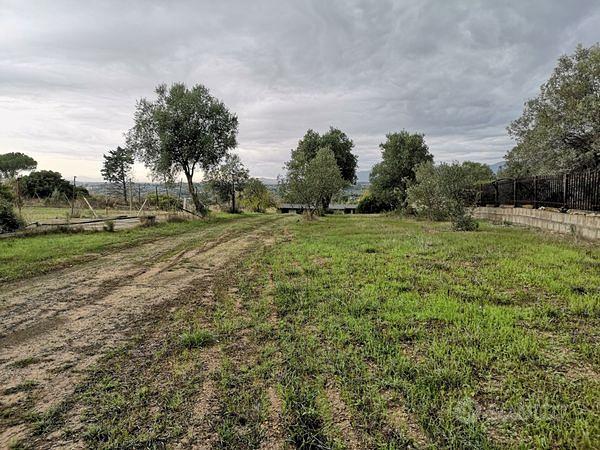 Rustico c/2 con ampio terreno di 4250 mq - Vista 2